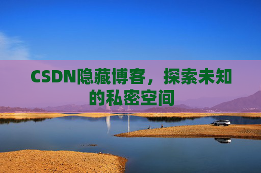 CSDN隐藏博客，探索未知的私密空间